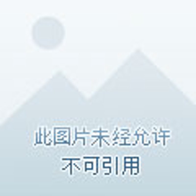 厦门燃气灶行业最新动态